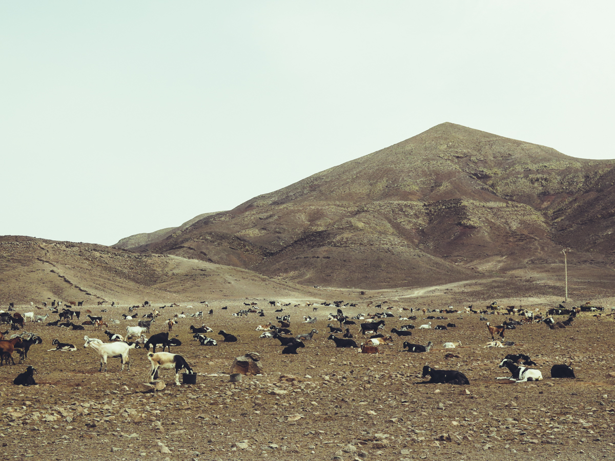 Reportage - Location