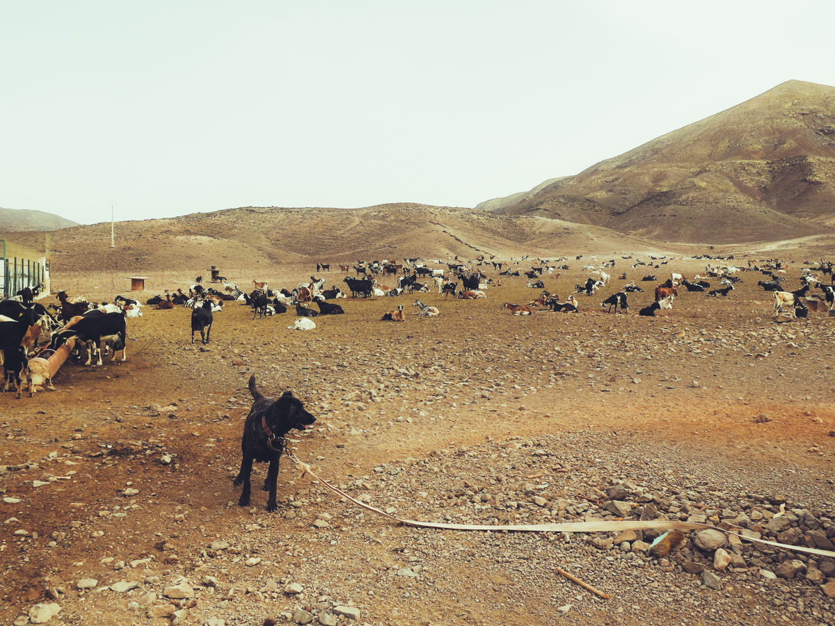 Reportage - Location
